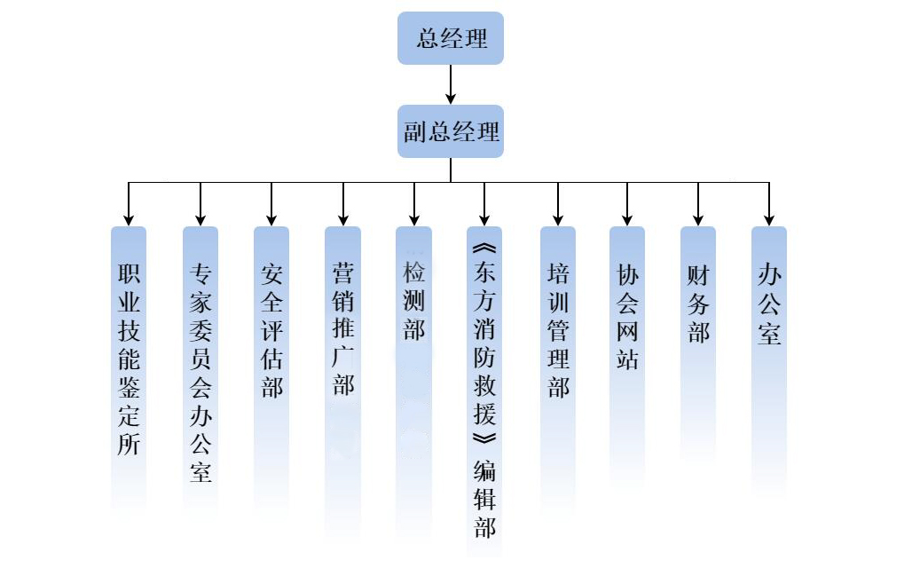 1710299209883368.jpg 11.jpg